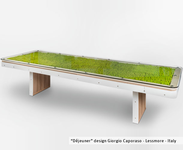 Dejeuner - Tavolo in cartone con licheni di Giorgio Caporaso per Lessmore