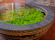 Tappo con licheni: tavolino illuminante in cartone ecologico by Caporaso Design