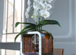 To Be - Cardboard vases, design by Giorgio Caporaso for Lessmore