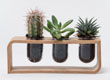 ToBe - vasi decorativi by Lessmore